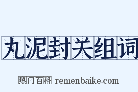 丸泥封关组词是什么意思的图片